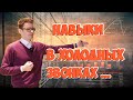 Навыки в холодных звонках | Презентация услуги | Продажи как технология | Уверенность в продажах