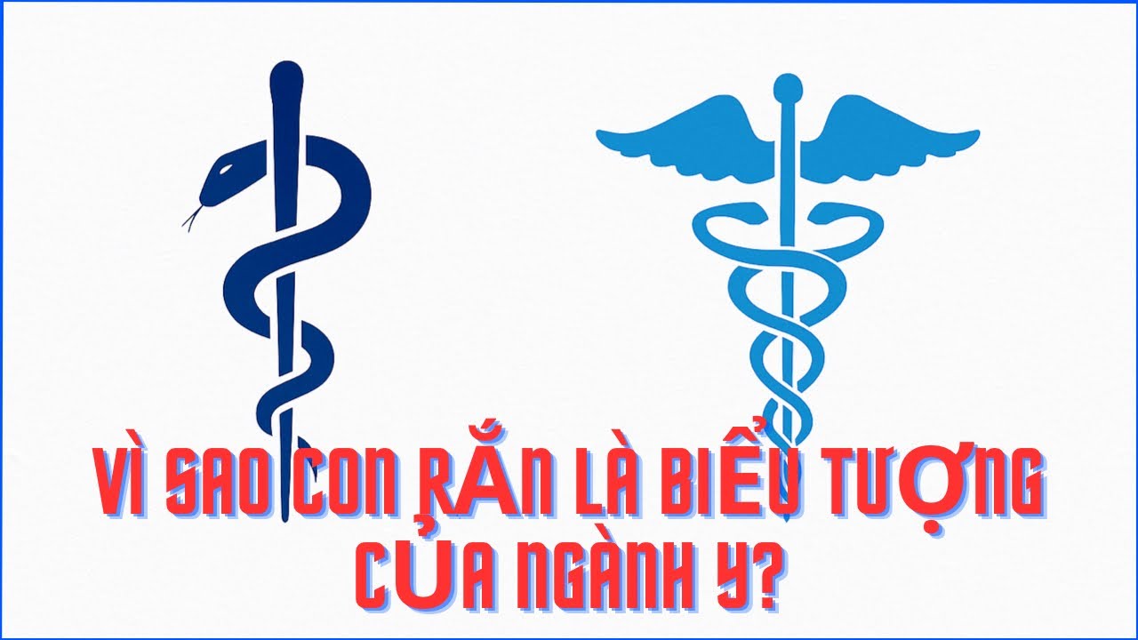 Vì Sao Con Rắn Là Biểu Tượng Của Ngành Y?| NMT T1995 - YouTube