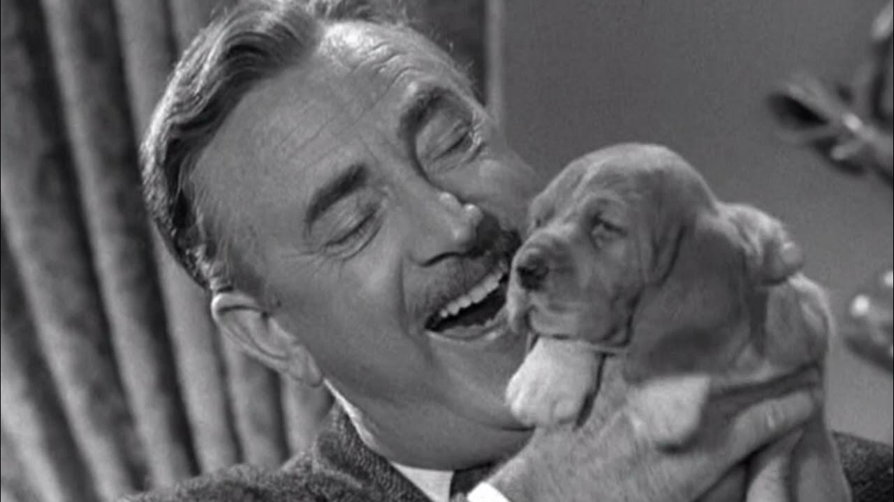 Another Side To 'The Beverly Hillbillies' 'Mr. Drysdale' Raymond Bailey - YouTube