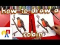 How To Draw A Robin Bird (realistic)