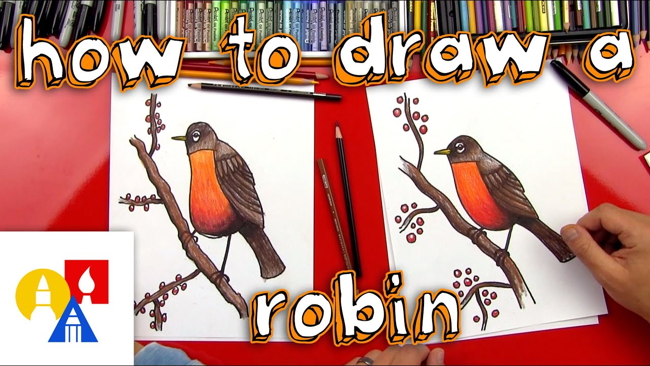 red robin drawings