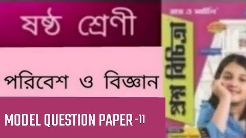 RAY & MARTIN QUESTION BANK 2022  CLASS -6 PORIBESH &BIGGAN  MQP-11 (3rd Summative Evaluation)