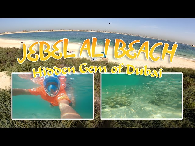 Vlog #04 | Jebel  Ali Beach | Hidden Gem in Dubai, U.A.E. class=