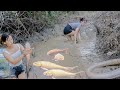 Highlights: Beautiful Girl's Amazing Fishing Skills – Catching Big Fish in the Wild - Part1