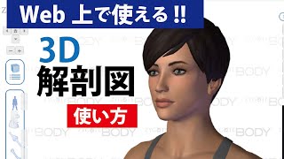 zygote body 使い方 ３D人体解剖図