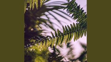 Background for Deep Conditioning