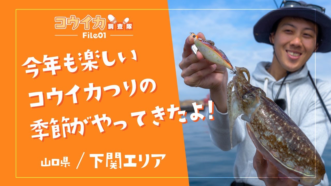 週間日本の魚釣り 1〜209号 週間日本の魚釣り 1〜209号 週間日本の