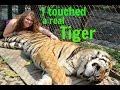 Chiang Mai: Tiger Kingdom &amp; Trying SQUID and INSECTS