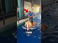 Horse S Water Therapy For Pain Relief Shorts 