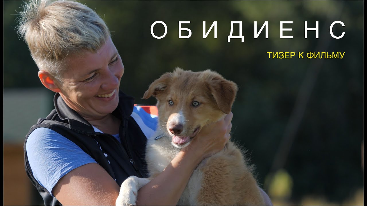 Тизер к фильму "Спорт с собаками / ОБИДИЕНС"