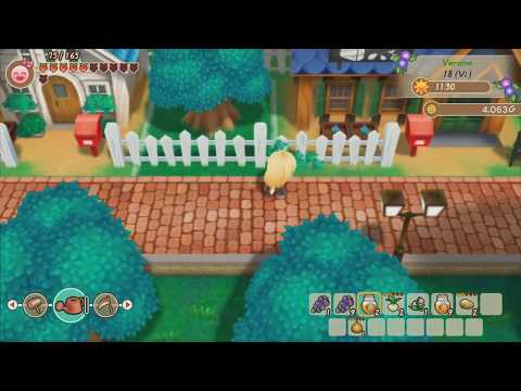 Story of Seasons: Friends of Mineral Town - Gameplay