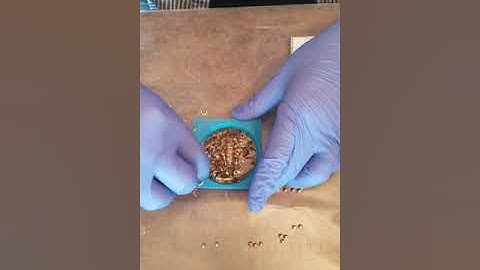 Orgonite Tower Buster DIY