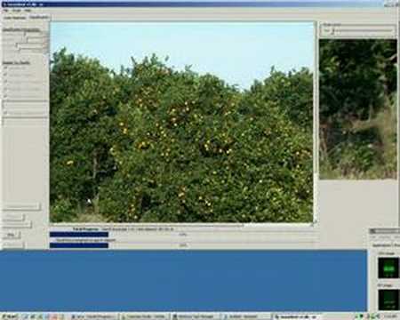GemIdent demo - Orange grove example