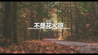 一小时 不是花火呀 陨落 拼音歌词 Youtube 一小时 不是花火呀 陨落 拼音歌词 Youtube