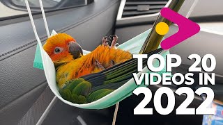 Top 20 Viral Clips From 2022 by Viral Press 1,031 views 1 year ago 9 minutes, 56 seconds