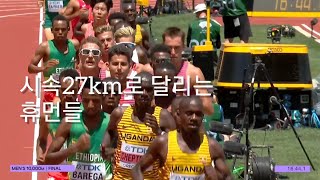 2022세계육상선수권. 인간이 시속27km/h로 달리는 동네. 오리건유진 육상 중계