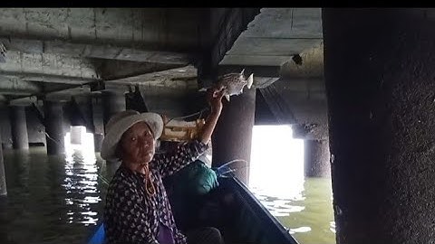 Trúng Bầy Cá Nâu Khủng Dưới Chân Trụ Cảng /Cá Nâu ăn Đêm Quá Mạnh / Câu Cảng VeDan Gò Dầu Mỹ Xuân
