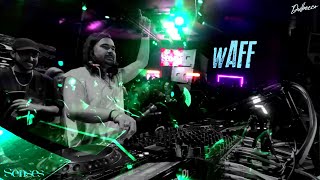 wAFF at SENSES, San José, Costa Rica, Dec 2023  Shot by Dulbecco | FREE SHOTS #43