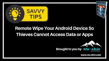 Savvy Tip Android - How to remote wipe you phone after a theft