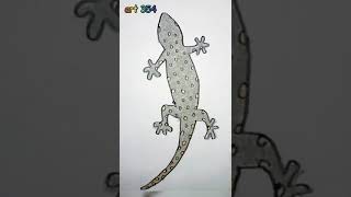 Menggambar & Mewarnai Cicak Tokek Lucu Lagu Cicak Di Dinding Lagu Anak Populer