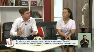 Condena por maltrato animal: el caso del zorro ...