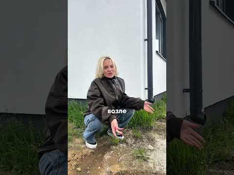 Муж решил сделать