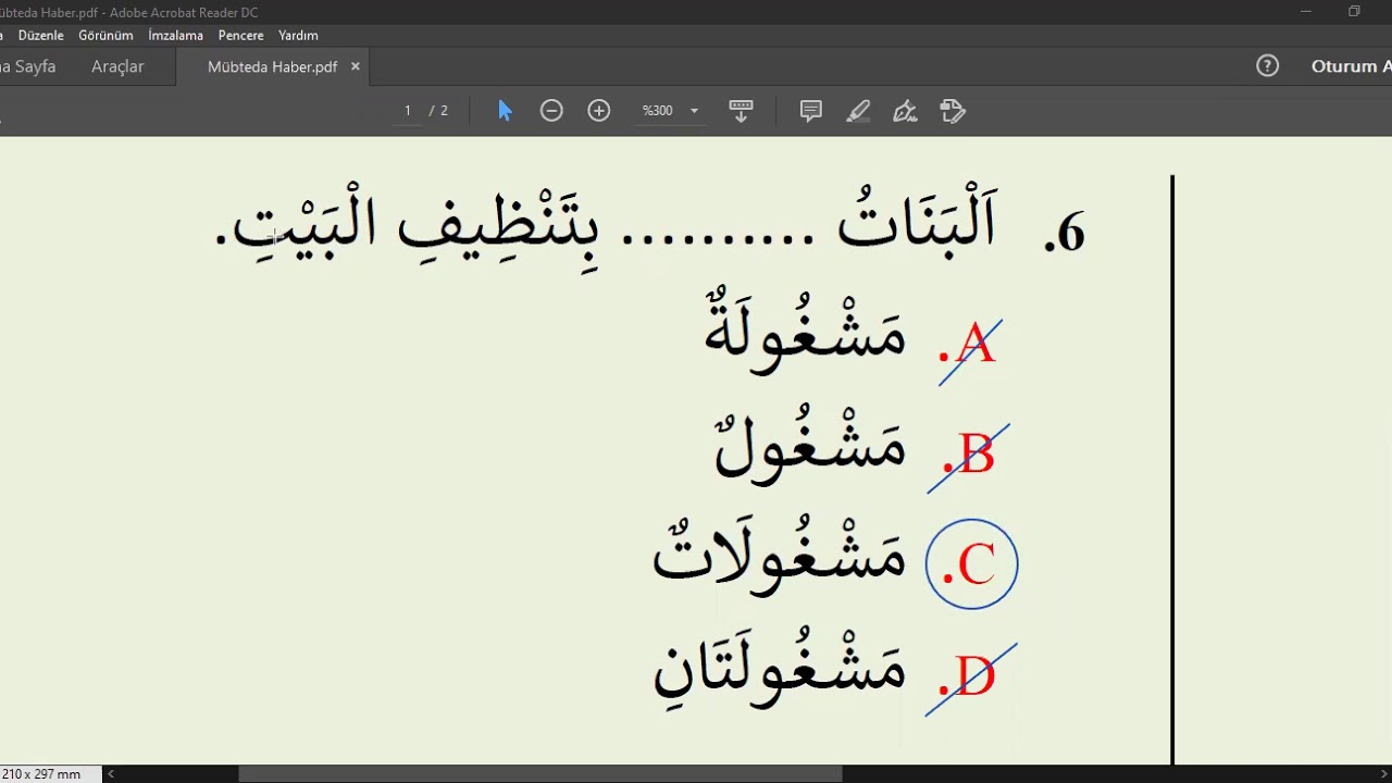 Kavaid Mübteda Haber Örnek Test Sorular ve Çözümleri (Abdulhakim Önel)