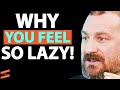 This Is Why You FEEL LAZY In Life & How To FIX IT | Andrew Huberman