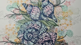 VIEWERS CHOICE stamped ONE SHEET WONDER with FLOWERS and SHELLS #stampinup #artfulstampin screenshot 5