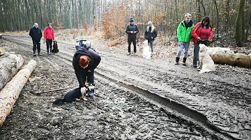 Co mohou způsobit svalové křeče psa?
