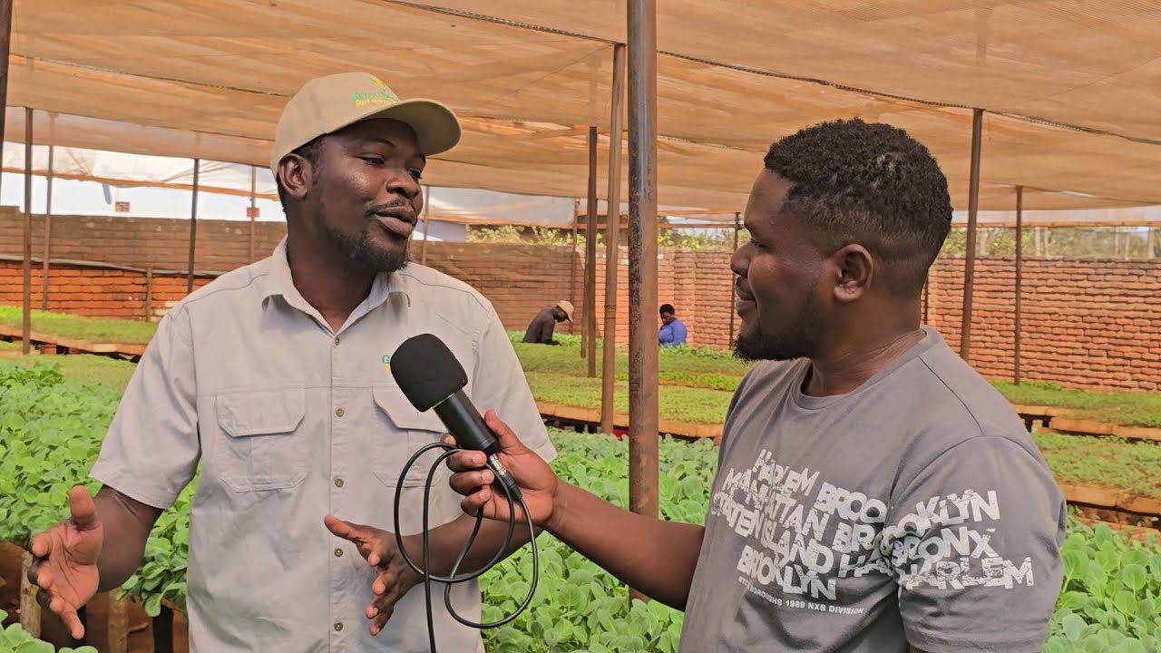 Green Currency - How Seedlings Empower Local Economies