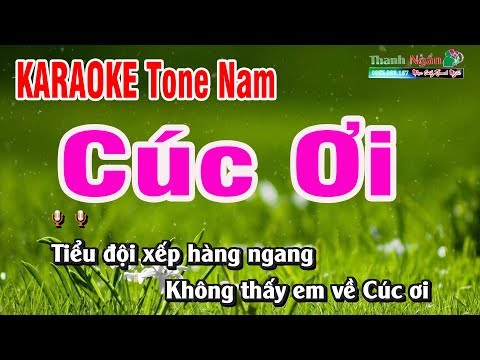 Cúc Ơi Karaoke | Tone Nam | beat Chất Lượng Cao - Nhạc Sống Thanh Ngân