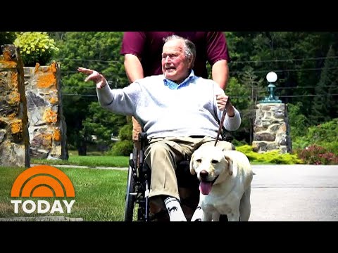 George H.W. Bush’s Service Dog Sully Gets Bronze Statue | TODAY