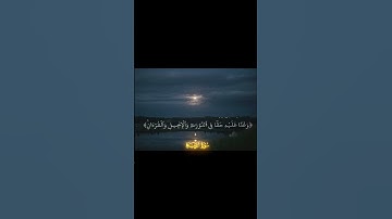 ما تيسر من سورة التوبة للقارئ : محمد اللحيدان 🎧❤️