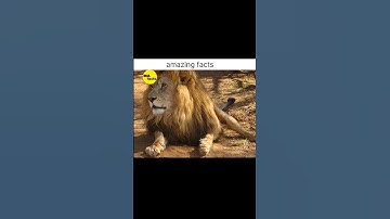 3 AMAZING FACTS||@MR. INDIAN HACKER@Crazy XYZ #shorts#ytshorts#india #factbeast#thetrueguyGrow Facts