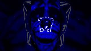 montagem Manifesto slowed bassboostedbass funkphonksong aveeplayer