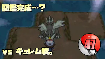 ポケットモンスターブラックジャイアントホール攻略