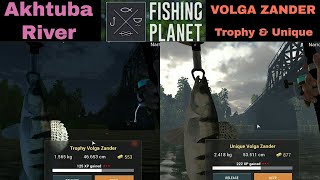 Fishing Planet, Akhtuba River, Volga Zander, Trophy & Unique