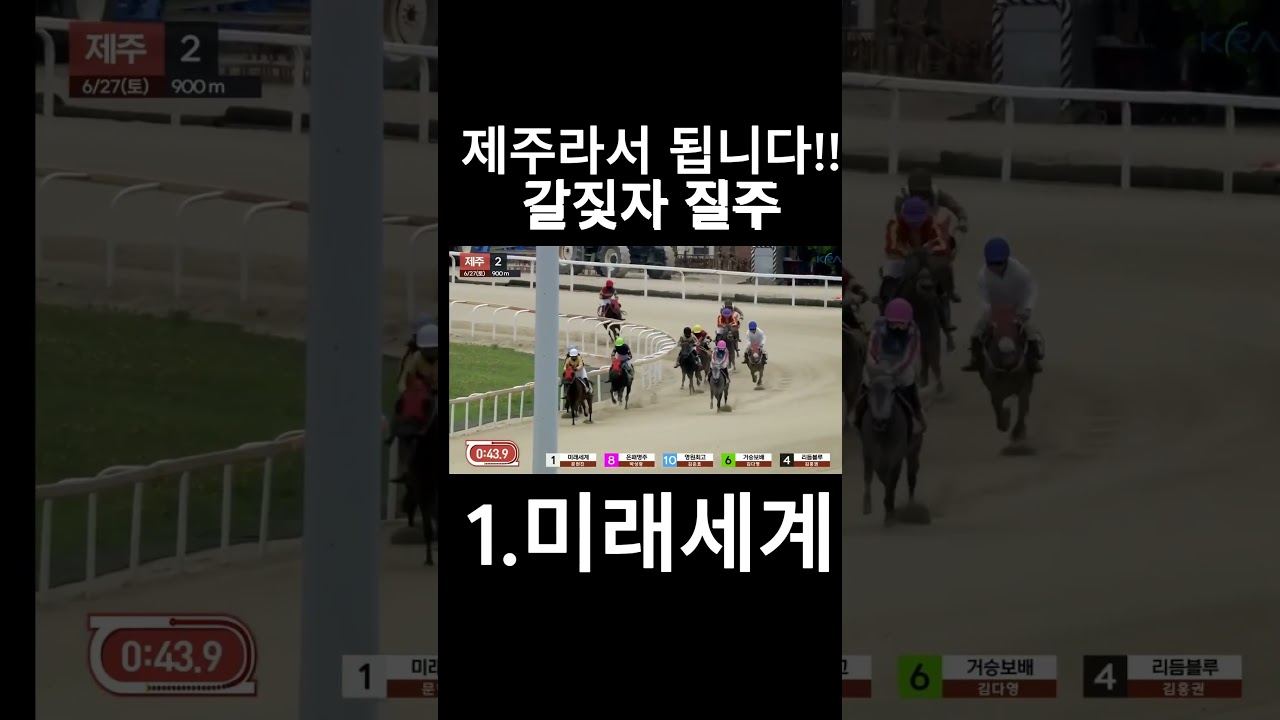 제주라서 됩니다 갈짖자 질주  #경마  #경마예상  #경마방송  #경마예상방송  #서울경마  #금요경마  #토요경마  #일요경마 #경마장