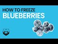 How to Freeze Blueberries