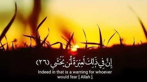 سورة النازعات بصوت القارئ / إسلام صبحي