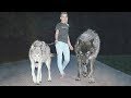 10 SCARIEST Pets People Actually Own! - YouTube