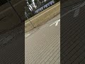 выехал С Райскай Школы