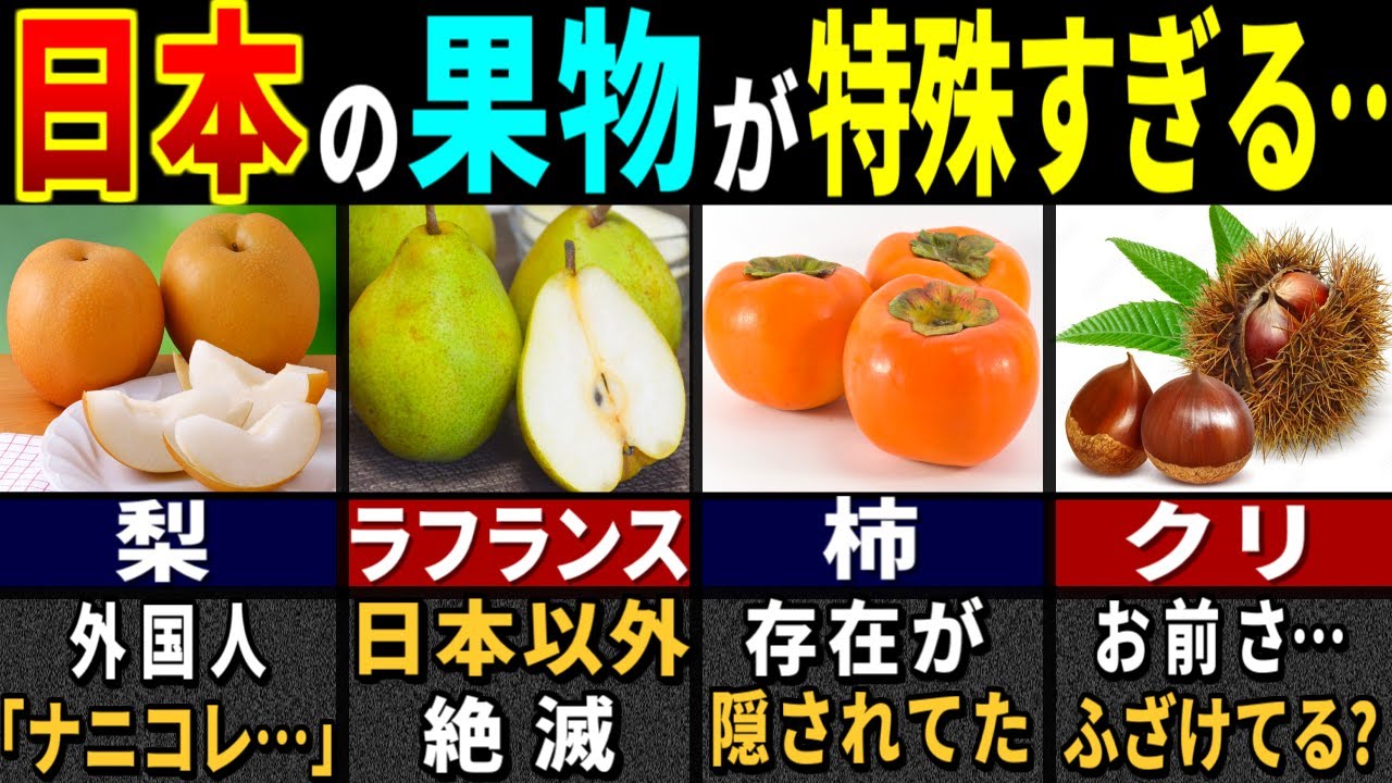 「はじめて見た…」3177万人の訪日外国人が腰を抜かした日本の秋のフルーツ７選【ゆっくり解説】【海外の反応】