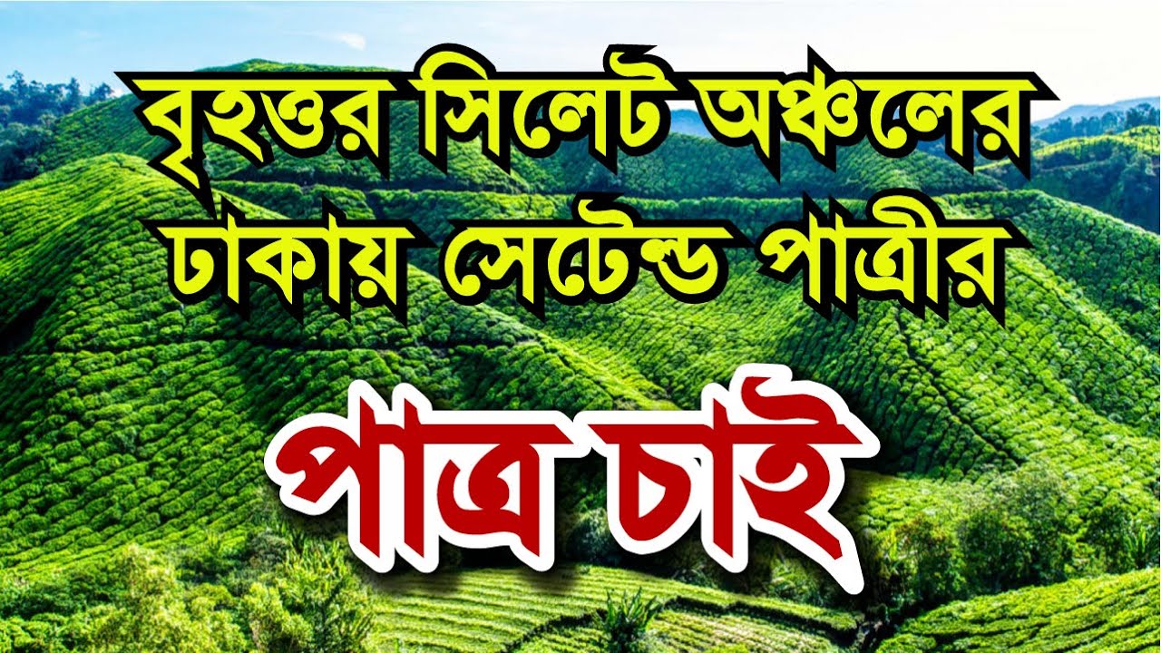 বৃহত্তর সিলেট  অঞ্চলের পাত্রীর পাত্র চাই | Bengali Matrimony | Kamrul Hasan Osman