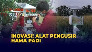 Kreatif! Mahasiswa Universitas Muhammadiyah Surabaya Ciptakan Alat Pengusir Hama Padi