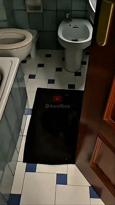 have you seen a black cat_ part 1 #cat #wahyuawall #shorts