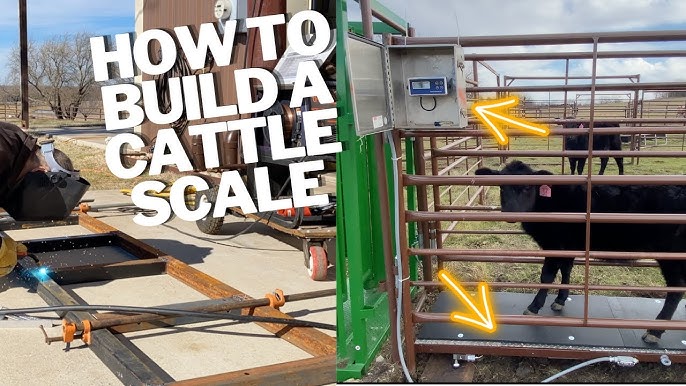 Livestock Scale Kit for Cattle Hogs Sheep Goats Pigs Squeeze