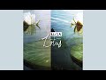 Elisa - Electricity - HQ
