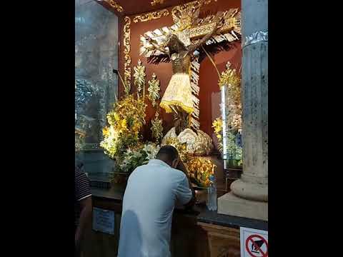 SEÑOR DE LOS